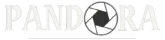 Logo de Pandora Studio